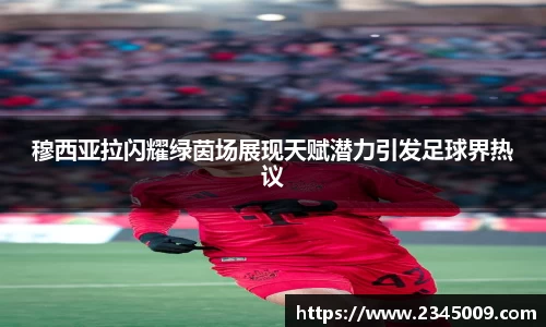星空体育官网